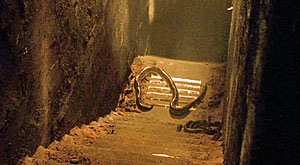 Snake Movie Screenshot