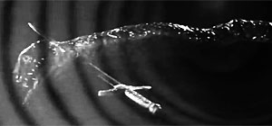 Snake Movie Screenshot