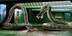 Snake Movie Screenshot