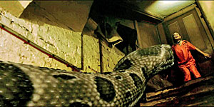 Snake Movie Screenshot