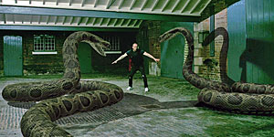 Snake Movie Screenshot