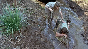 Crocodile Hunter Screenshot