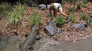 Crocodile Hunter Screenshot