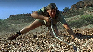 Fierce Snake Screenshot