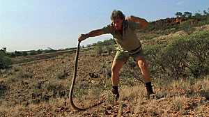 Fierce Snake Screenshot