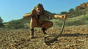 Fierce Snake Screenshot