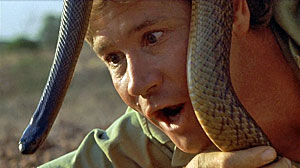 Fierce Snake Screenshot