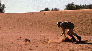 Lizards in Movies