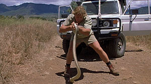 Fierce Snake Screenshot