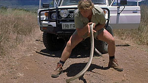 Fierce Snake Screenshot