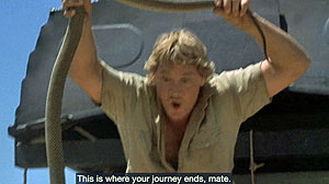 Fierce Snake Screenshot