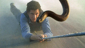 Fierce Snake Screenshot