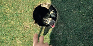 The Monkey Screenshot