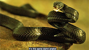 Snake Movie Screenshot