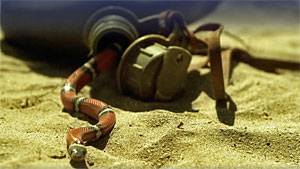 Snake Movie Screenshot