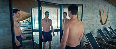 Simulant Mirrors