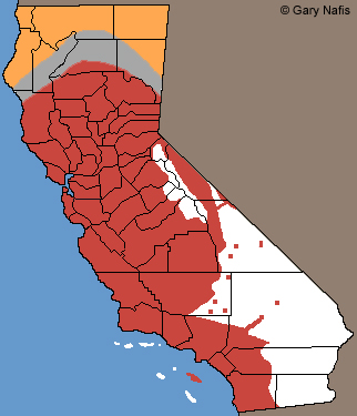 boreal toad range map