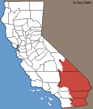 Red-spotted Toad California Range Map