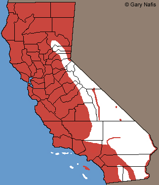 American Bullfrog California range map
