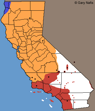 California Treefrogs Range Map
