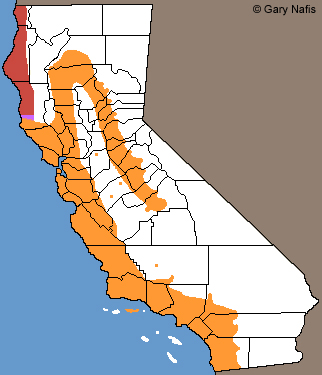 Red-legged Frogs Range Map