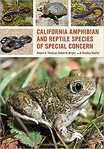 CA SSC Book Cover