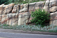 roadside rock