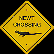 Newt Crossing sign