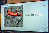 salamander exhibit