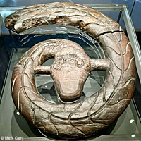 Viking ship snake