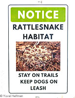 narcisse dens sign