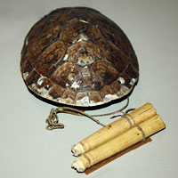 Amazon turtle instrument