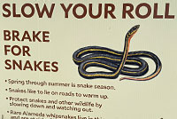 snake sign