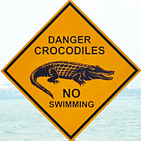 crocodile sign