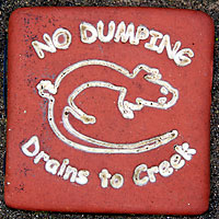 no dumping Austin