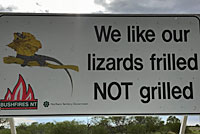 lizard sign