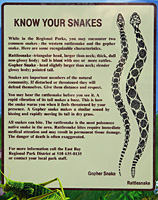 Gophersnake Rattlesnake Comparison Sign