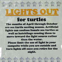 Turtle Sign