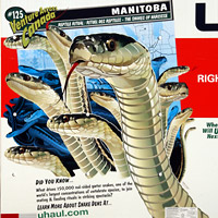 U-haul Snake Dens Art