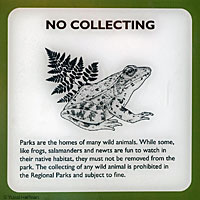 herp stuff