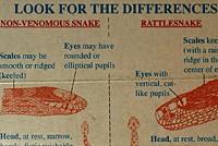 Gopher Snake Rattlesnake Comparison Sign