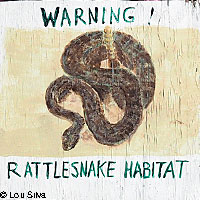 Rattlesnake Sign