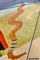Rattlesnake art