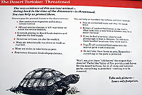 Tortoise Sign