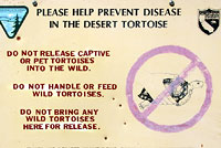 Desert Tortoise Sign