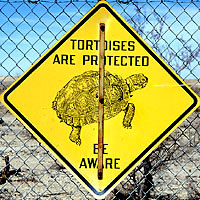 Tortoise Sign
