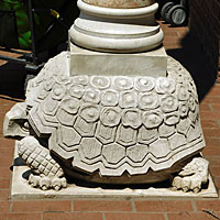 turtle basket