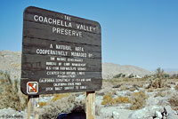 Coachella Valley Fringe-toed Lizard sign
