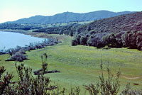 california kingsnake habitat