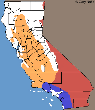 Tiger Whiptails California Range Map